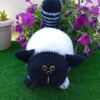 Gato Fofo Branco e Preto