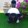 Gato Fofo Branco e Preto