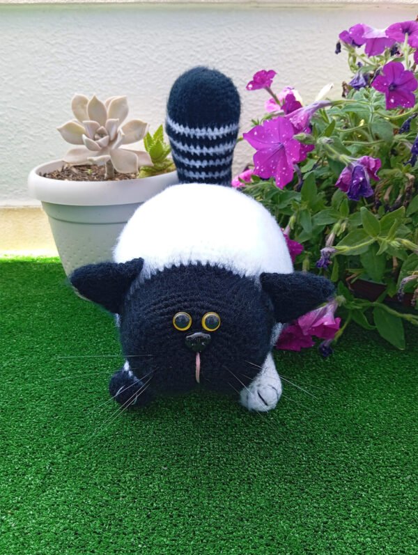 Gato Fofo Branco e Preto