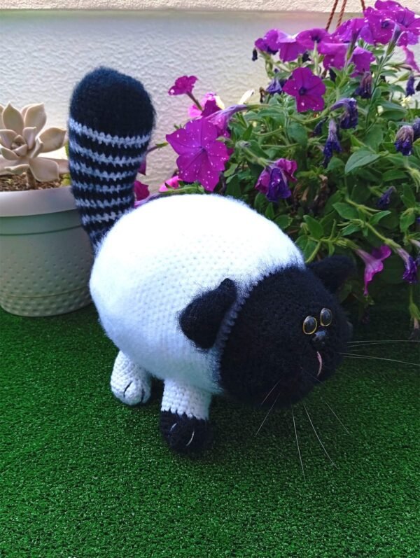 Gato Fofo Branco e Preto