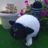 Gato Fofo Branco e Preto