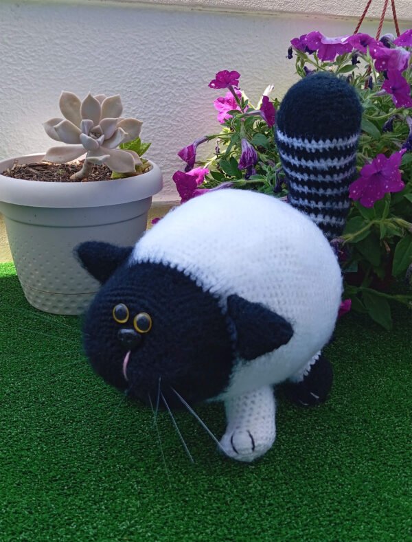 Gato Fofo Branco e Preto