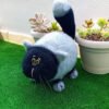Gato Fofo Cinza e Preto