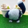 Gato Fofo Cinza e Preto
