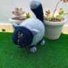Gato Fofo Cinza e Preto
