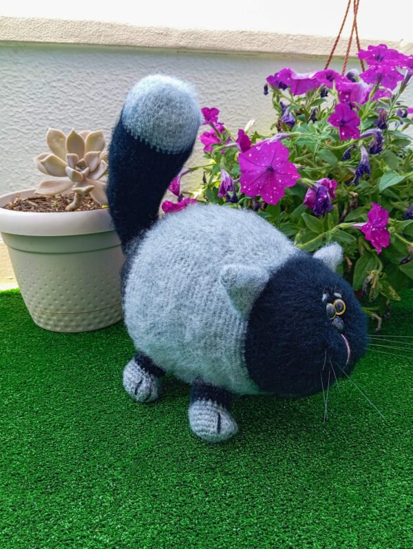 Gato Fofo Cinza e Preto
